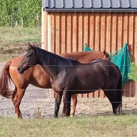 Fredhousedurbuy 2 ベッド・アンド・ブレックファスト デュルビュイ