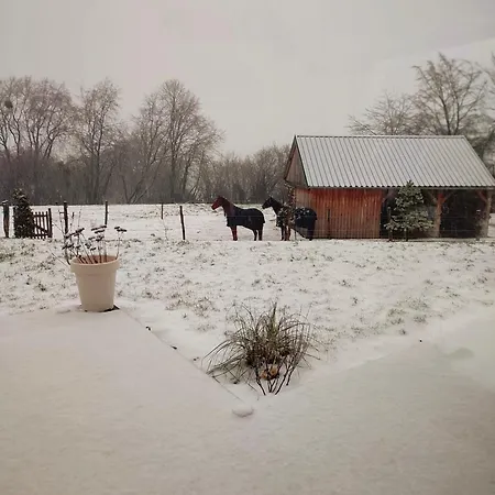 ベッド・アンド・ブレックファスト Fredhousedurbuy 2 3*