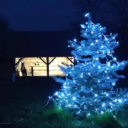 Fredhousedurbuy 2 ベッド・アンド・ブレックファスト 3*