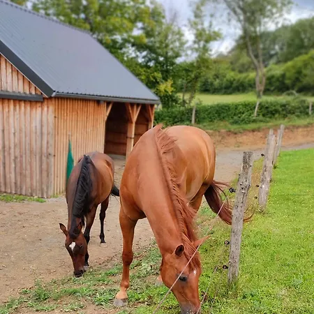 Fredhousedurbuy 2 * Durbuy