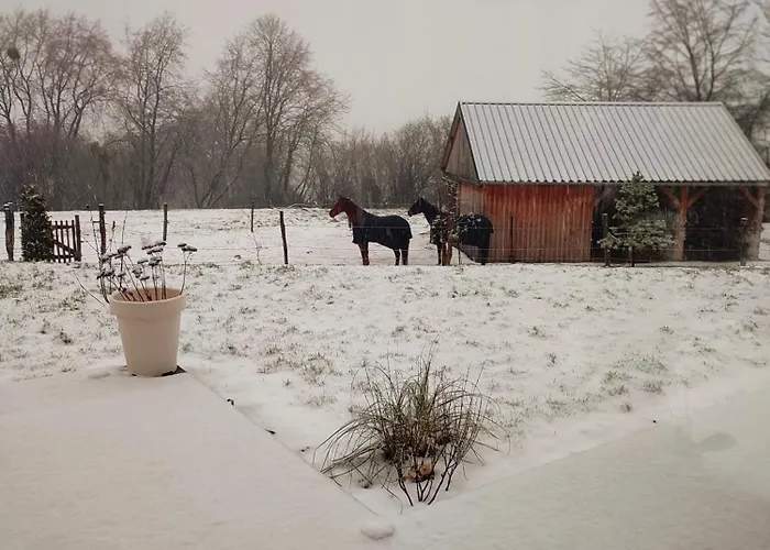 Bed & Breakfast Fredhousedurbuy 2 3*