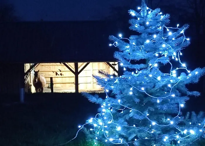 Fredhousedurbuy 2 Bed & Breakfast 3*