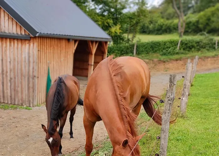 Fredhousedurbuy 2 3* Durbuy